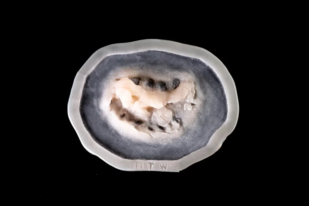 Référence BTW Prothèse gel de silicone générique Morsure animal zombie.