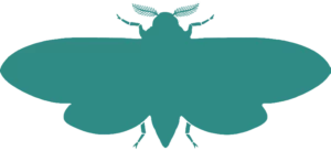 Puce logo bleu