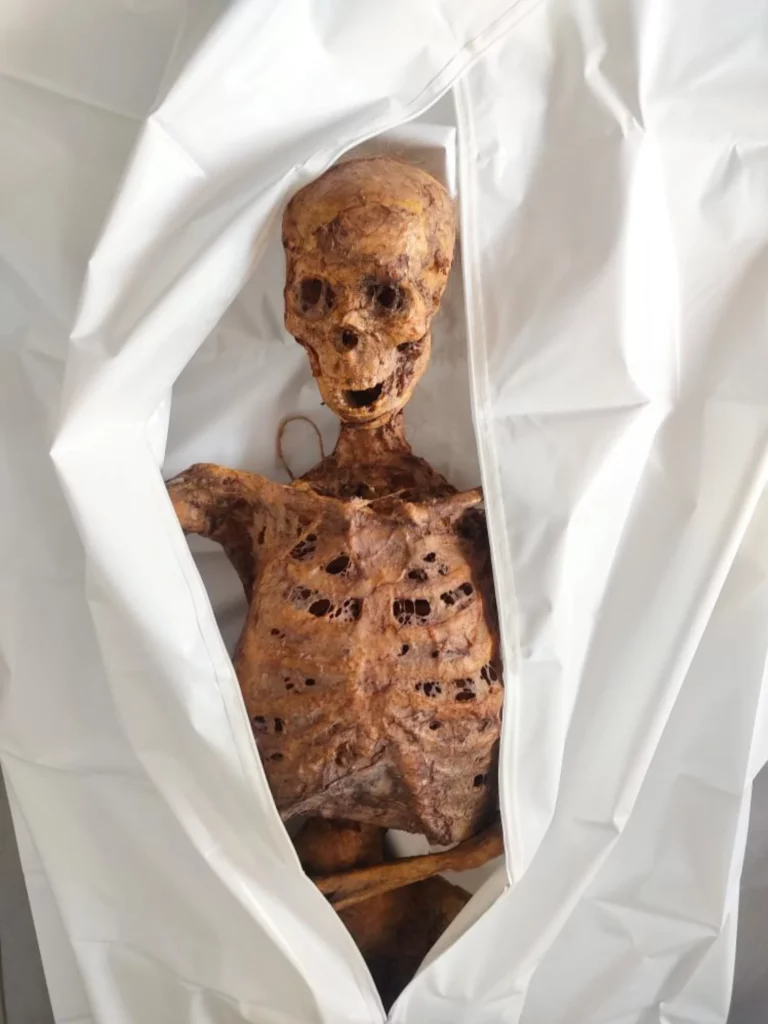 faux cadavre façon état de décomposition avancée
